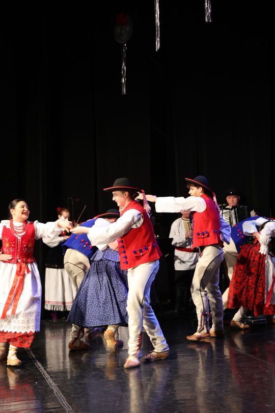 Koncert noworoczny Zespołu Folklorystycznego Roztocze [ZDJĘCIA]