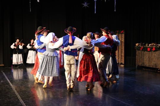 Koncert noworoczny Zespołu Folklorystycznego Roztocze [ZDJĘCIA]