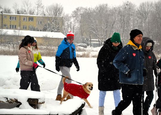 Koncerty, bieg, licytacje. Lubycza Królewska w finale WOŚP [ZDJĘCIA]