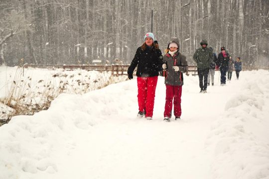 Koncerty, bieg, licytacje. Lubycza Królewska w finale WOŚP [ZDJĘCIA]