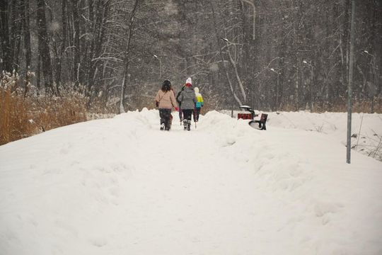 Koncerty, bieg, licytacje. Lubycza Królewska w finale WOŚP [ZDJĘCIA]