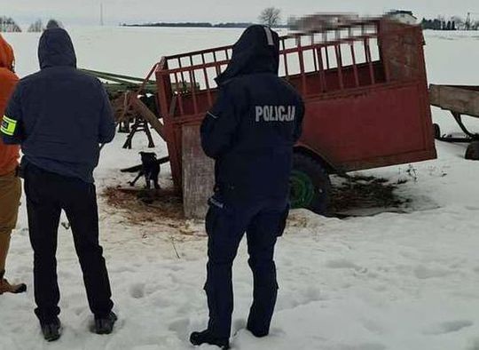 Gm. Mircze: Tego nie da się nazwać budą! 16 psów w dramatycznych warunkach [ZDJĘCIA]