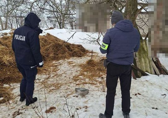 Gm. Mircze: Tego nie da się nazwać budą! 16 psów w dramatycznych warunkach [ZDJĘCIA]