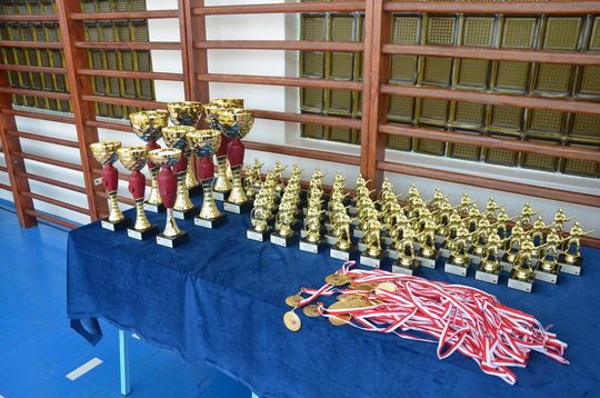 Zawody sportowo-pożarnicze w Telatynie - galeria zdjęć