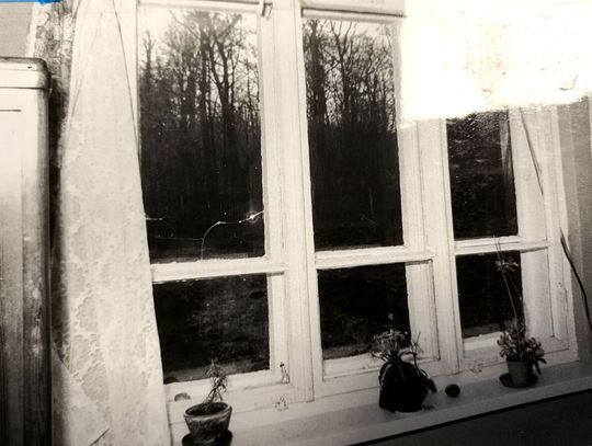 Lubelskie Archiwum X zajmuje się sprawą podwójnego zabójstwa w Zwierzyńcu [ZDJĘCIA]