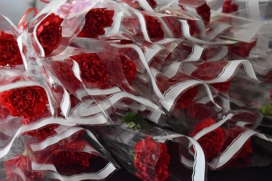 Dzień Kobiet w gminie Tyszowce [ZDJĘCIA]