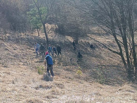 Uczniowie Mechanika i członkowie ZamToP-u ratują cenne murawy na Białej Górze [ZDJĘCIA]