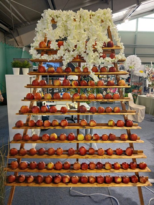 Zamość: Szkoły prezentują swoje oferty. To największe targi edukacyjne [ZDJĘCIA]