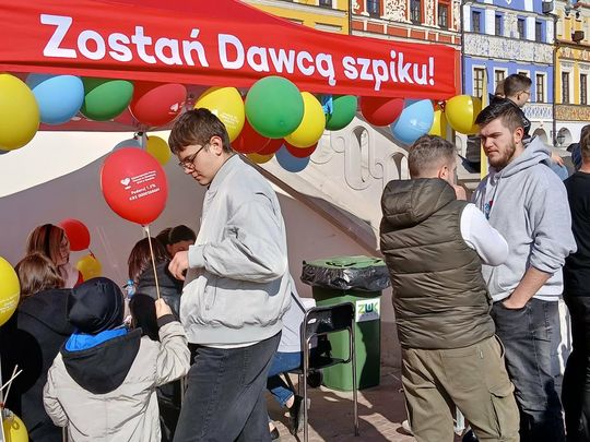 Rejestracja dawców szpiku na Rynku Wielkim w Zamościu - galeria zdjęć