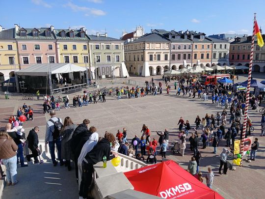 Rejestracja dawców szpiku na Rynku Wielkim w Zamościu - galeria zdjęć