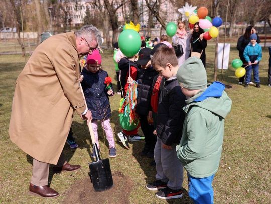 Fontanna już działa, rosną nowe drzewka w parku. Wiosna w Tomaszowie Lubelskim [ZDJĘCIA]