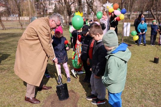 Fontanna już działa, rosną nowe drzewka w parku. Wiosna w Tomaszowie Lubelskim [ZDJĘCIA]