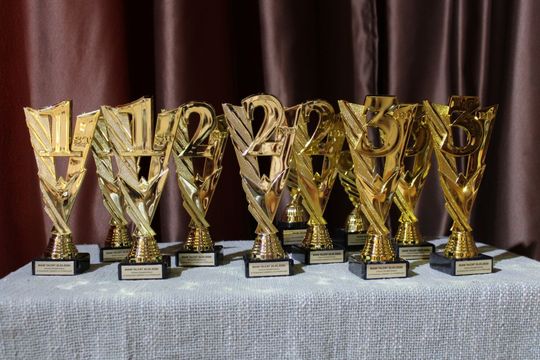 Mam Talent edycja 2026 w gminie Tomaszów Lubelski [ZDJĘCIA]