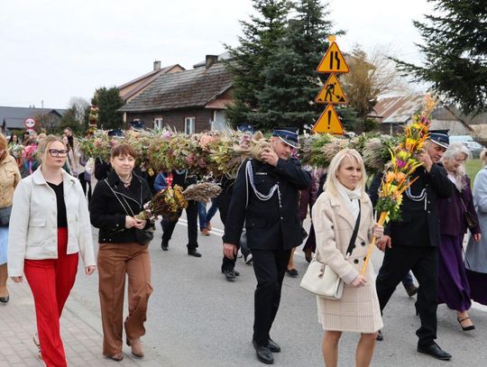 Takie palmy brały udział w konkursie powiatowym w Bełżcu [ZDJĘCIA]