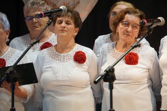 Międzypowiatowe Eliminacje do Festiwalu Kapel i Śpiewaków Ludowych w Kazimierzu [ZDJĘCIA]