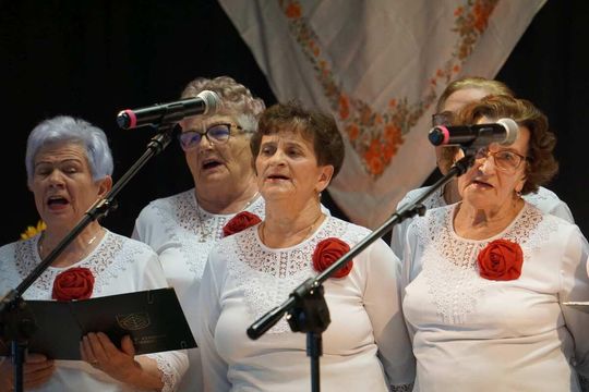 Międzypowiatowe Eliminacje do Festiwalu Kapel i Śpiewaków Ludowych w Kazimierzu [ZDJĘCIA]