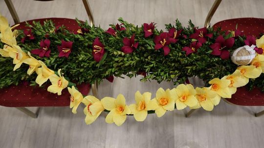 Takie palmy brały udział w konkursie powiatowym w Bełżcu [ZDJĘCIA]