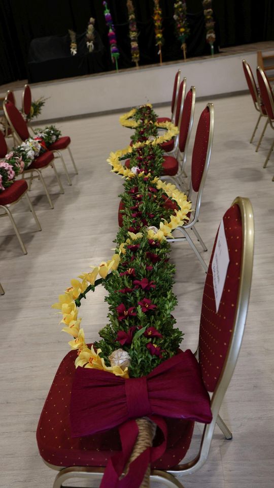 Takie palmy brały udział w konkursie powiatowym w Bełżcu [ZDJĘCIA]