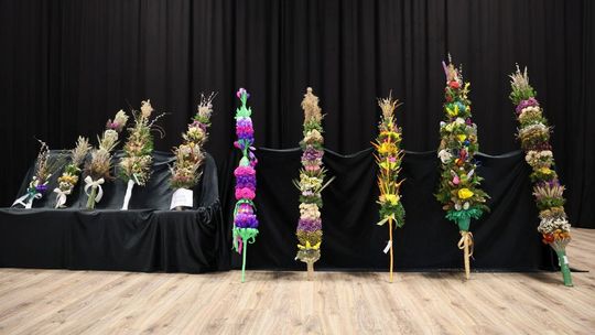 Takie palmy brały udział w konkursie powiatowym w Bełżcu [ZDJĘCIA]