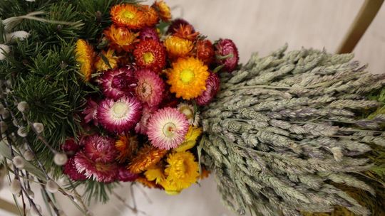 Takie palmy brały udział w konkursie powiatowym w Bełżcu [ZDJĘCIA]