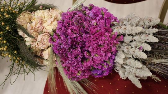 Takie palmy brały udział w konkursie powiatowym w Bełżcu [ZDJĘCIA]