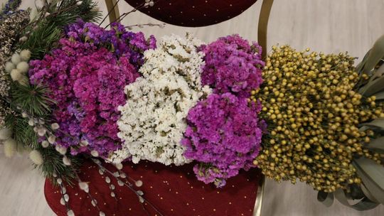 Takie palmy brały udział w konkursie powiatowym w Bełżcu [ZDJĘCIA]