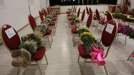 Takie palmy brały udział w konkursie powiatowym w Bełżcu [ZDJĘCIA]