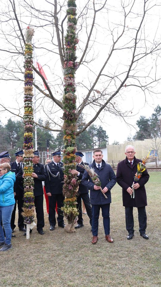 Takie palmy brały udział w konkursie powiatowym w Bełżcu [ZDJĘCIA]