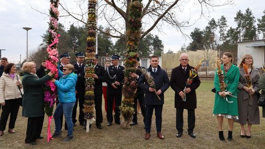 Takie palmy brały udział w konkursie powiatowym w Bełżcu [ZDJĘCIA]