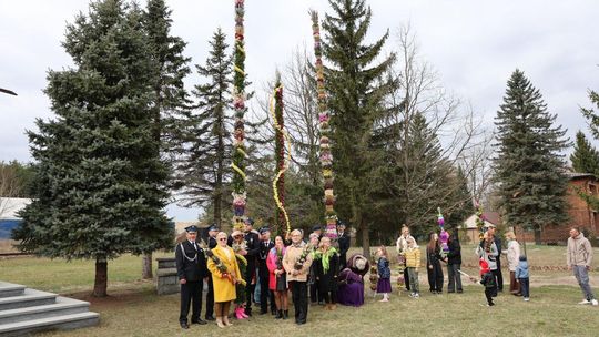 Takie palmy brały udział w konkursie powiatowym w Bełżcu [ZDJĘCIA]