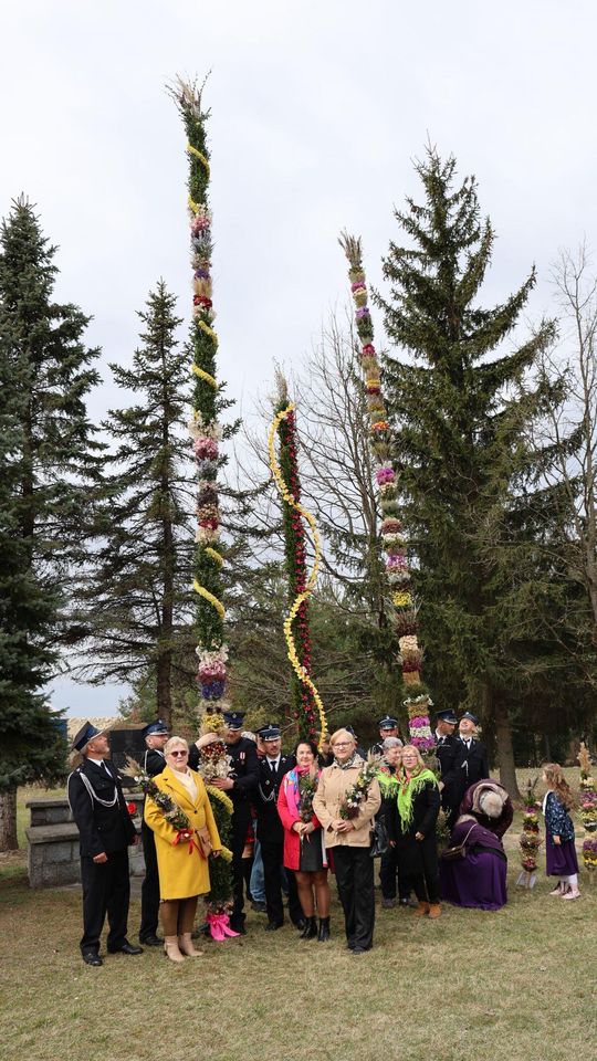 Takie palmy brały udział w konkursie powiatowym w Bełżcu [ZDJĘCIA]
