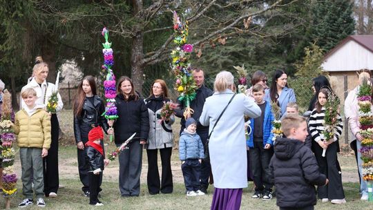 Takie palmy brały udział w konkursie powiatowym w Bełżcu [ZDJĘCIA]