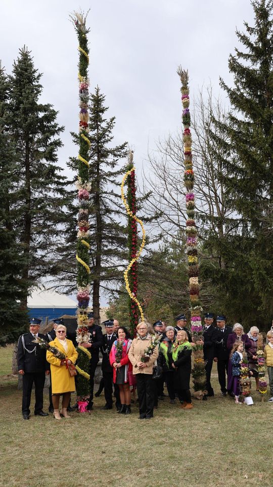 Takie palmy brały udział w konkursie powiatowym w Bełżcu [ZDJĘCIA]