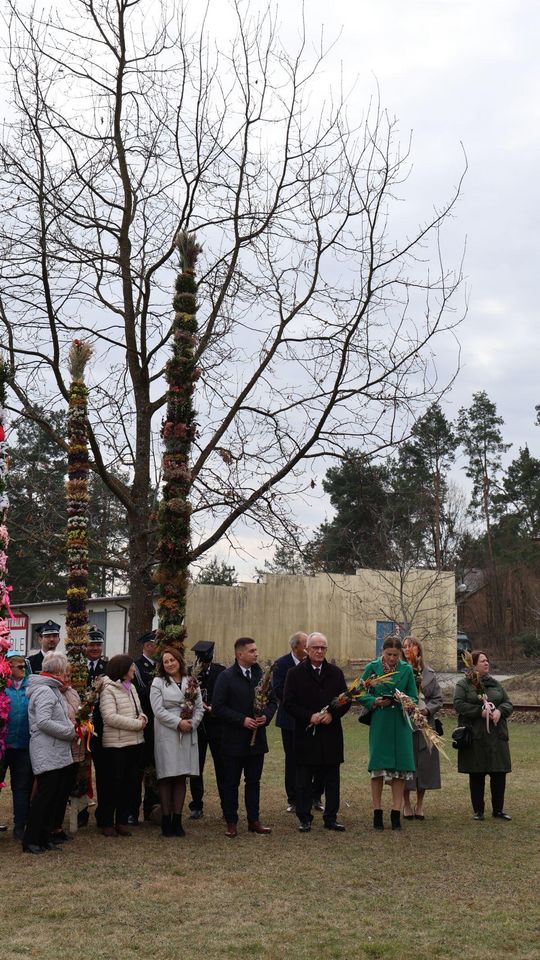 Takie palmy brały udział w konkursie powiatowym w Bełżcu [ZDJĘCIA]