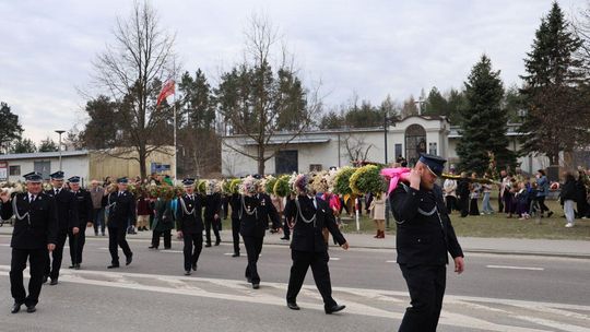 Takie palmy brały udział w konkursie powiatowym w Bełżcu [ZDJĘCIA]