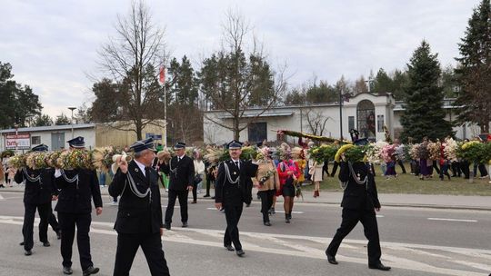 Takie palmy brały udział w konkursie powiatowym w Bełżcu [ZDJĘCIA]