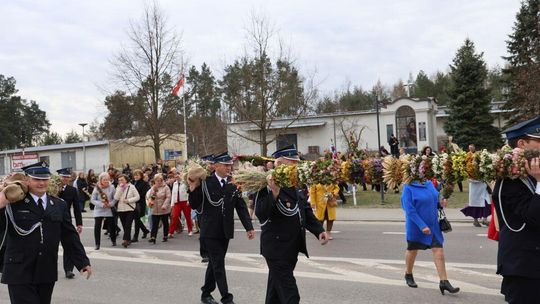 Takie palmy brały udział w konkursie powiatowym w Bełżcu [ZDJĘCIA]