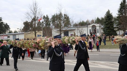 Takie palmy brały udział w konkursie powiatowym w Bełżcu [ZDJĘCIA]