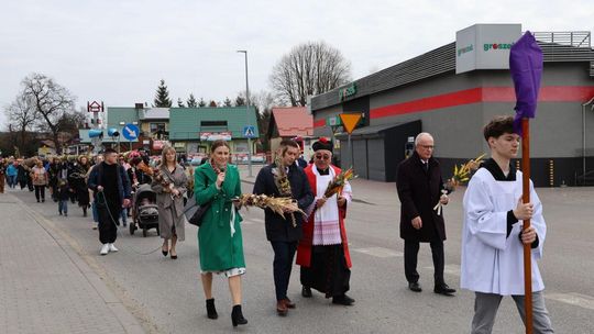 Takie palmy brały udział w konkursie powiatowym w Bełżcu [ZDJĘCIA]
