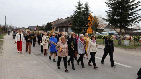 Takie palmy brały udział w konkursie powiatowym w Bełżcu [ZDJĘCIA]