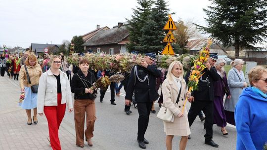 Takie palmy brały udział w konkursie powiatowym w Bełżcu [ZDJĘCIA]