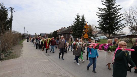 Takie palmy brały udział w konkursie powiatowym w Bełżcu [ZDJĘCIA]
