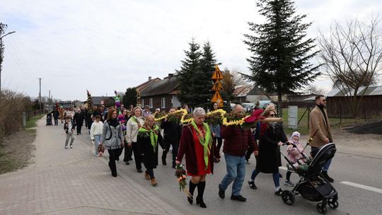 Takie palmy brały udział w konkursie powiatowym w Bełżcu [ZDJĘCIA]