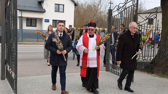 Takie palmy brały udział w konkursie powiatowym w Bełżcu [ZDJĘCIA]