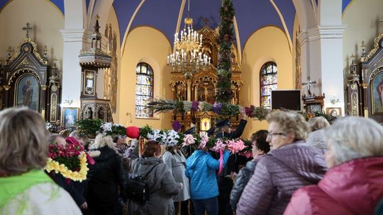 Takie palmy brały udział w konkursie powiatowym w Bełżcu [ZDJĘCIA]