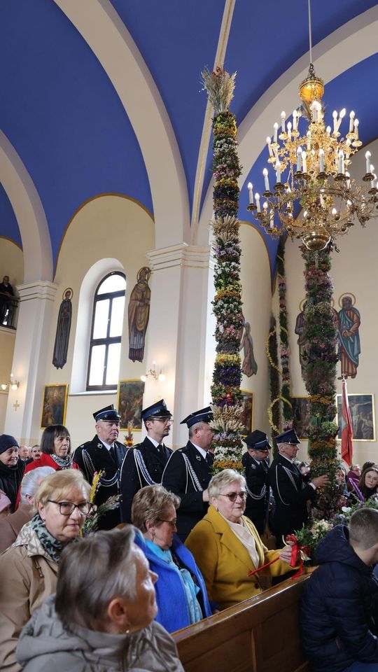 Takie palmy brały udział w konkursie powiatowym w Bełżcu [ZDJĘCIA]