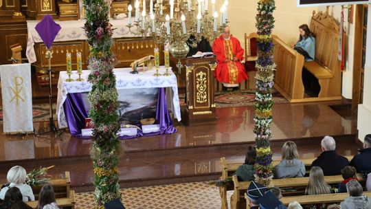 Takie palmy brały udział w konkursie powiatowym w Bełżcu [ZDJĘCIA]