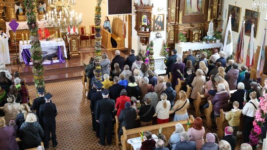 Takie palmy brały udział w konkursie powiatowym w Bełżcu [ZDJĘCIA]