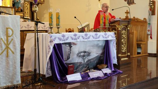 Takie palmy brały udział w konkursie powiatowym w Bełżcu [ZDJĘCIA]