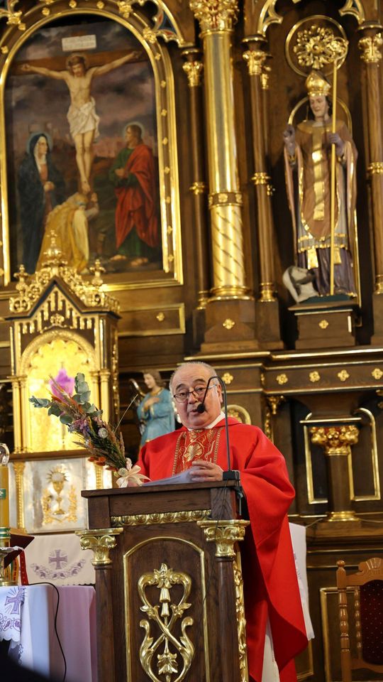 Takie palmy brały udział w konkursie powiatowym w Bełżcu [ZDJĘCIA]